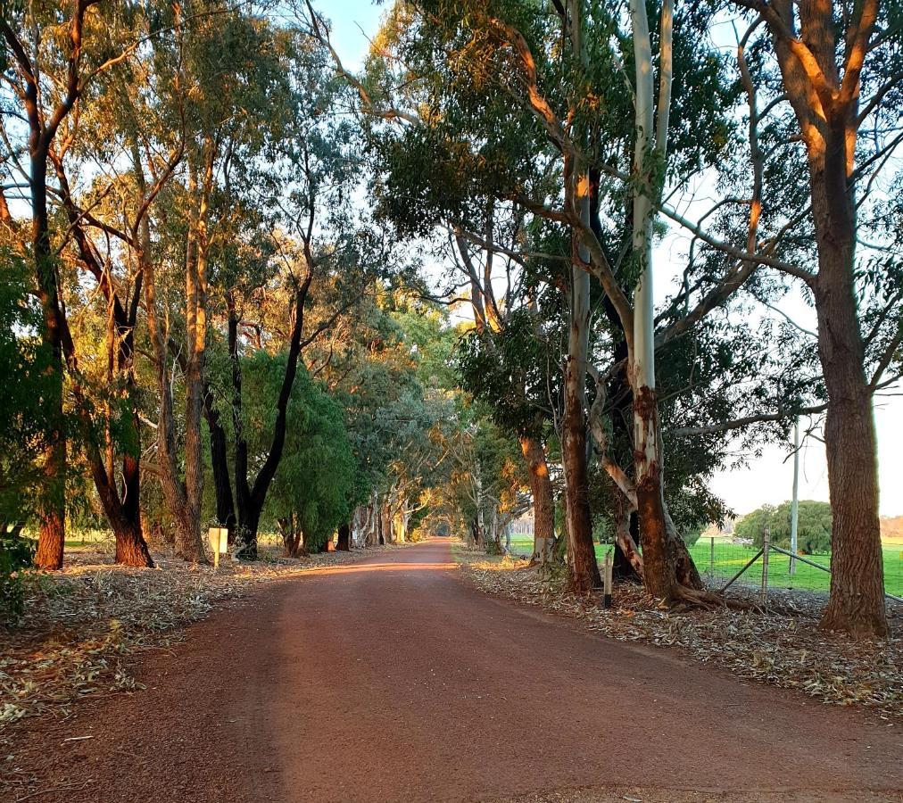 Bussells Bushland Cottages Margaret River Exterior foto