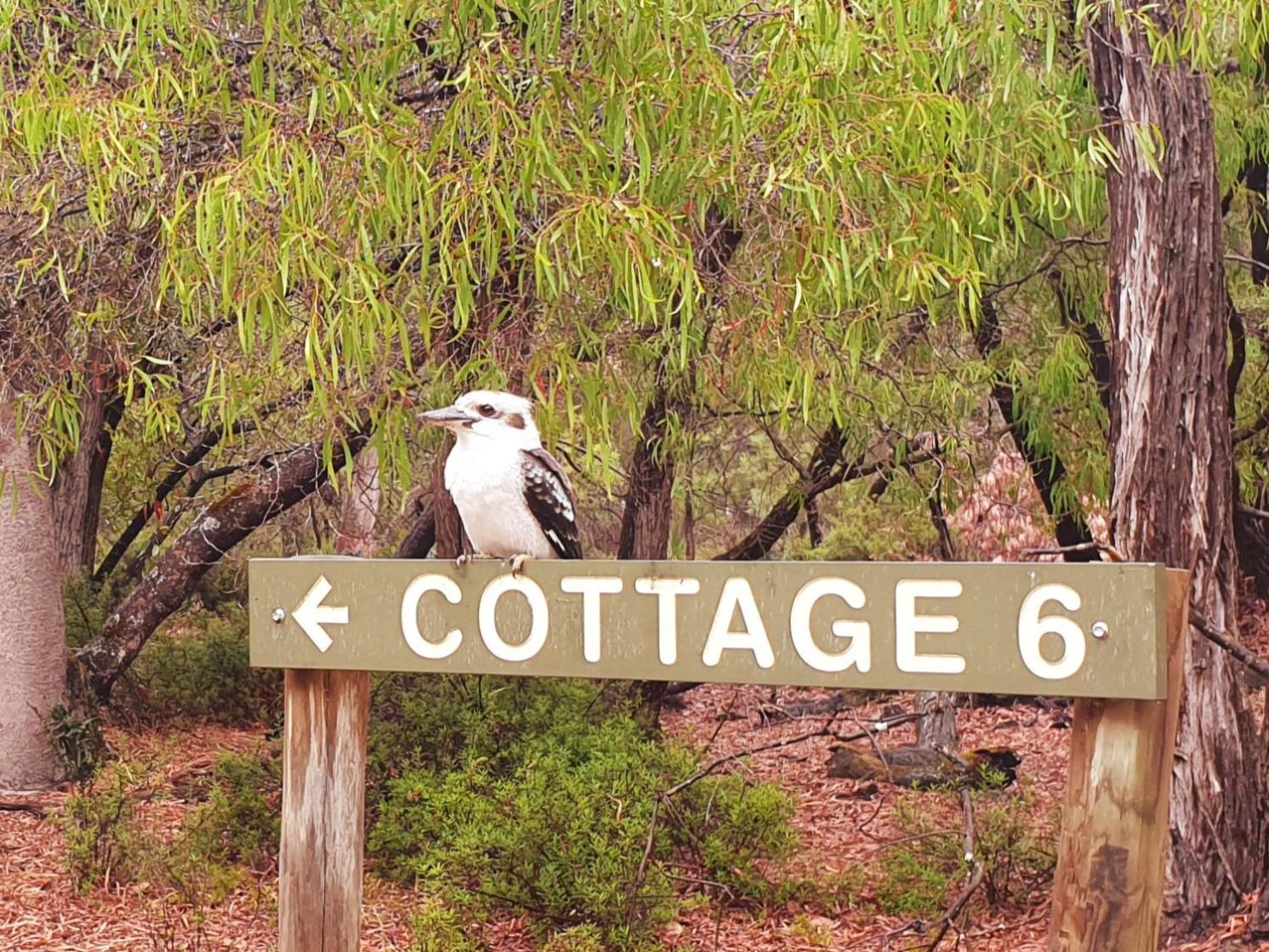 Bussells Bushland Cottages Margaret River Exterior foto