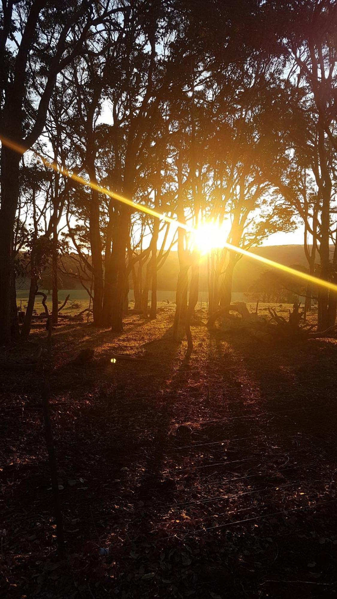 Bussells Bushland Cottages Margaret River Exterior foto