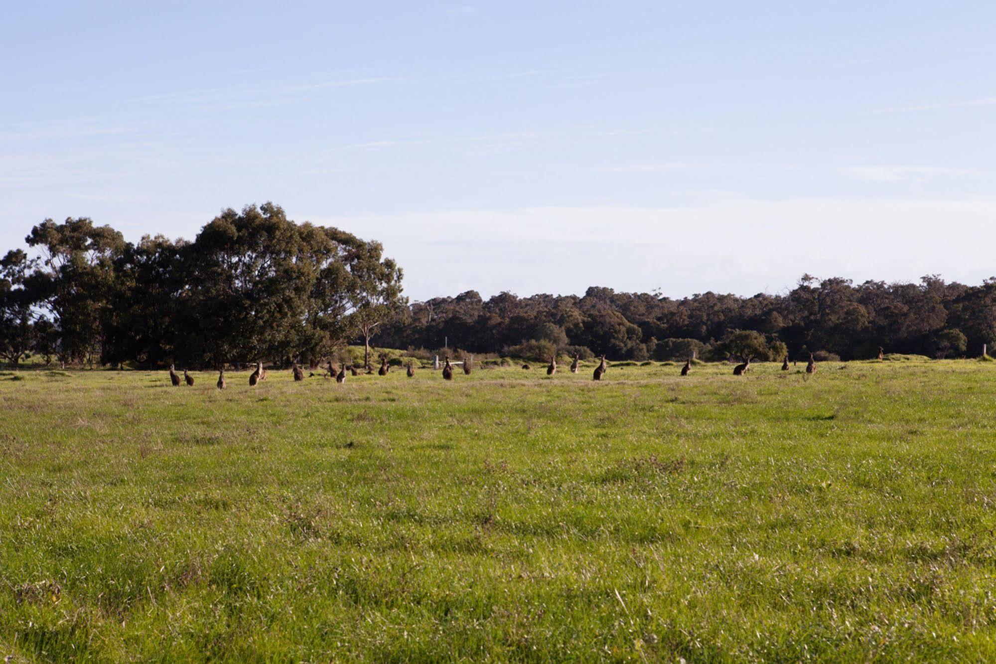 Bussells Bushland Cottages Margaret River Exterior foto